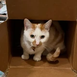 575384209_18542847853013602_1706434728289972971_n