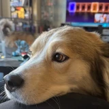 583889197_18545058940013602_3900308930580611676_n